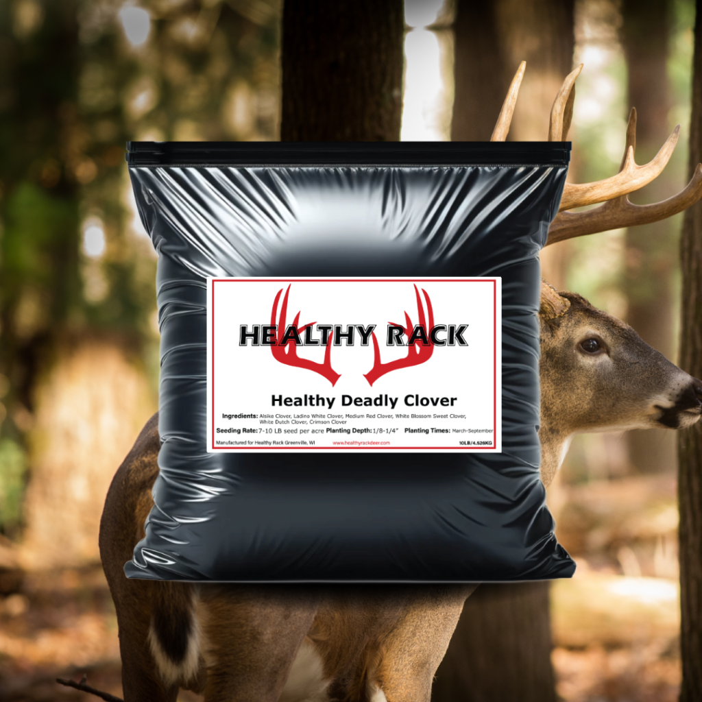 Healthy Deer Rack